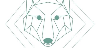 Wolf's Instinkte - Deine Hundeschule in Uhingen