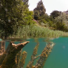 Kreidesee, halb über Wasser, halb unterwasser