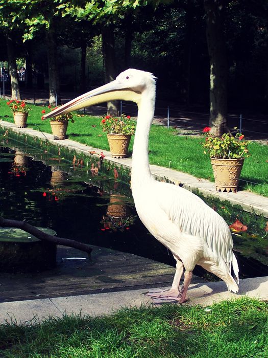 Nutzerbilder Zoologisch-Botanischer Garten Wilhelma