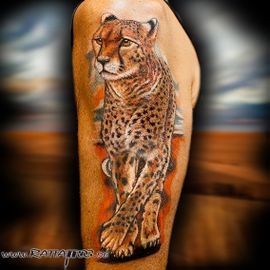 realistisches Gepard Farbtattoo aus dem Rattattoo Tattoostudio in Freiburg