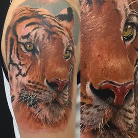 realistischer Tiger Farbtattoo Rattattoo Freiburg