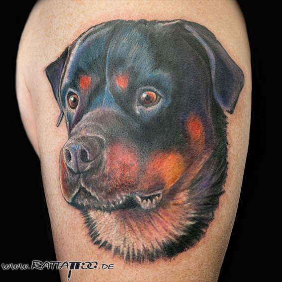 Rottweiler Hunde Portrait farbige realistische dog tattoo realistic tattoos tattoostudio freiburg