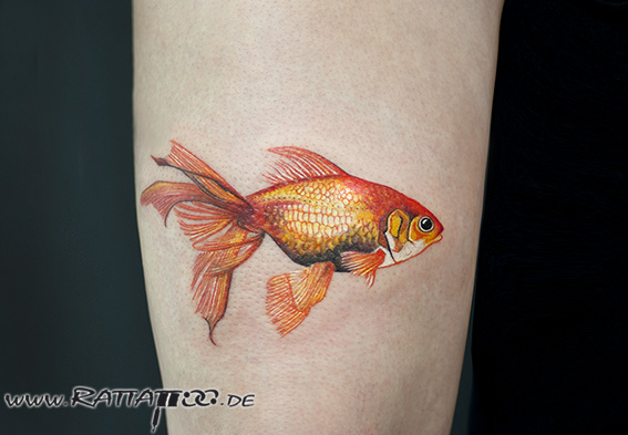 Goldfisch. Realistische Farbtattoo auf dem Bein aus dem Rattattoo Tattoostudio in Freiburg.