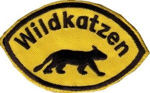 Bild zu Pfadfinderstamm Wildkatzen - Deutscher Pfadfinderbund Mosaik
