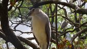 Nutzerbilder Zoologischer Garten Halle GmbH Zentrale