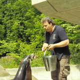 Münchener Tierpark Hellabrunn AG in München