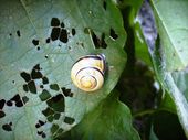 Nutzerbilder Café im Botanischen Garten