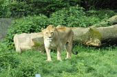 Nutzerbilder Münchener Tierpark Hellabrunn