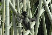 Nutzerbilder Münchener Tierpark Hellabrunn