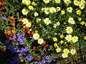 Nutzerbilder Café im Botanischen Garten