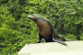 Nutzerbilder Münchener Tierpark Hellabrunn