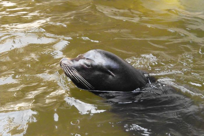 Nutzerbilder Münchener Tierpark Hellabrunn