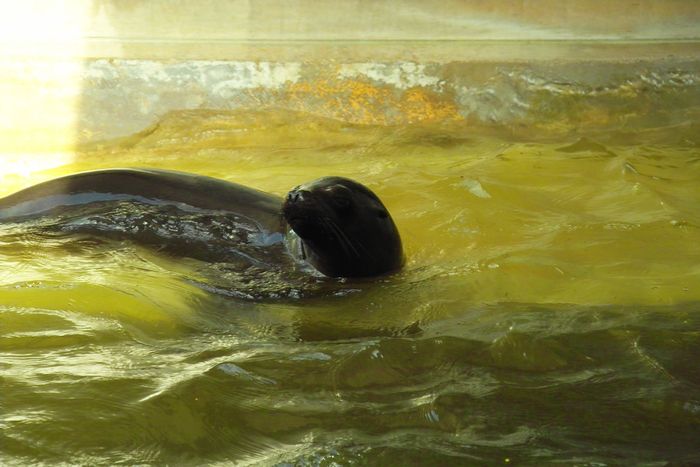 Nutzerbilder Münchener Tierpark Hellabrunn