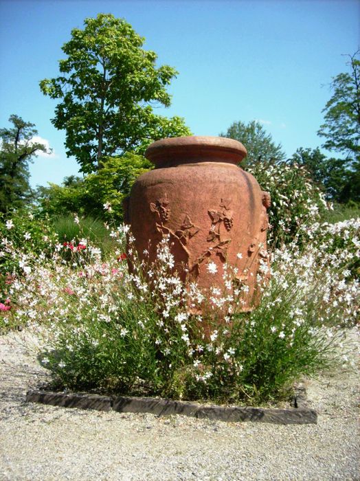 Nutzerbilder Botanischer Garten München-Nymphenburg