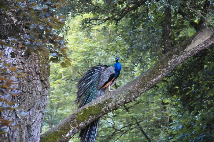 Nutzerbilder Münchener Tierpark Hellabrunn