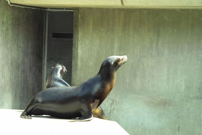 Nutzerbilder Münchener Tierpark Hellabrunn