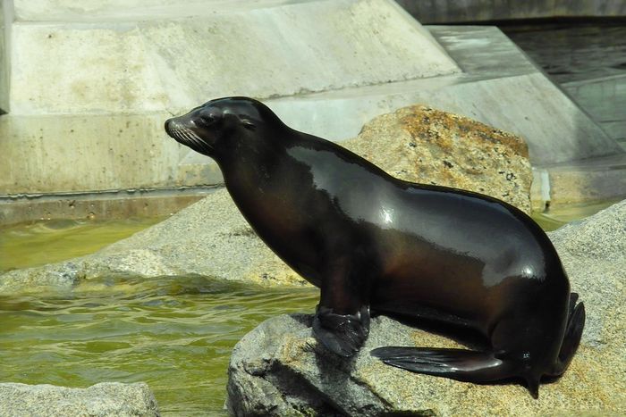 Nutzerbilder Münchener Tierpark Hellabrunn