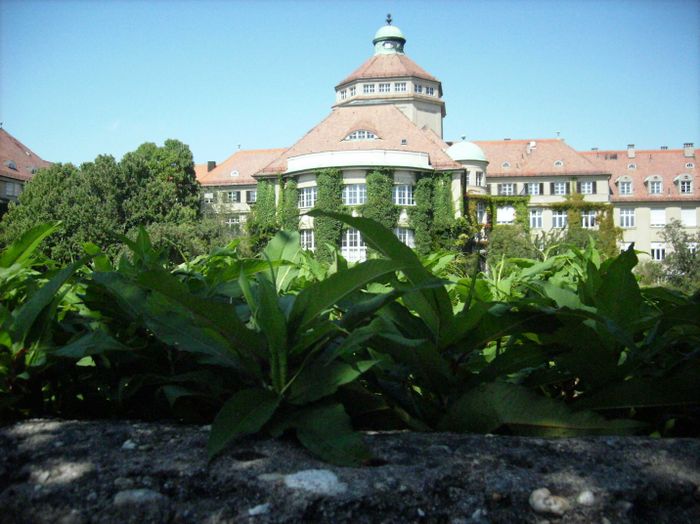 Nutzerbilder Café im Botanischen Garten