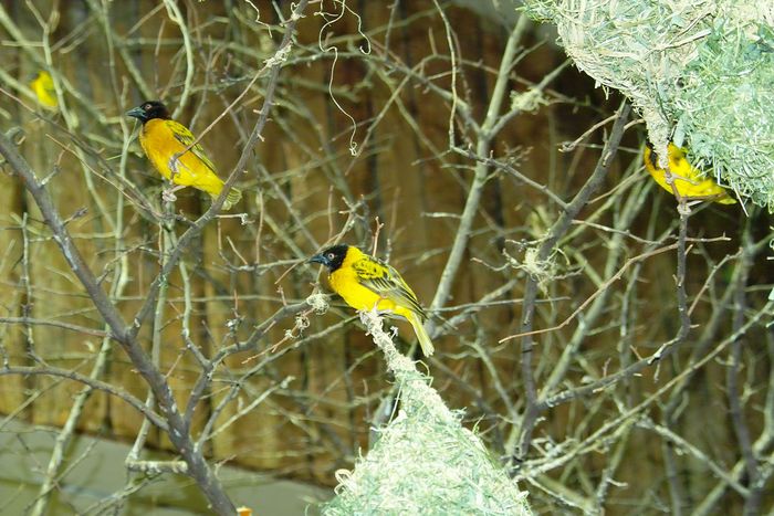 Nutzerbilder Münchener Tierpark Hellabrunn