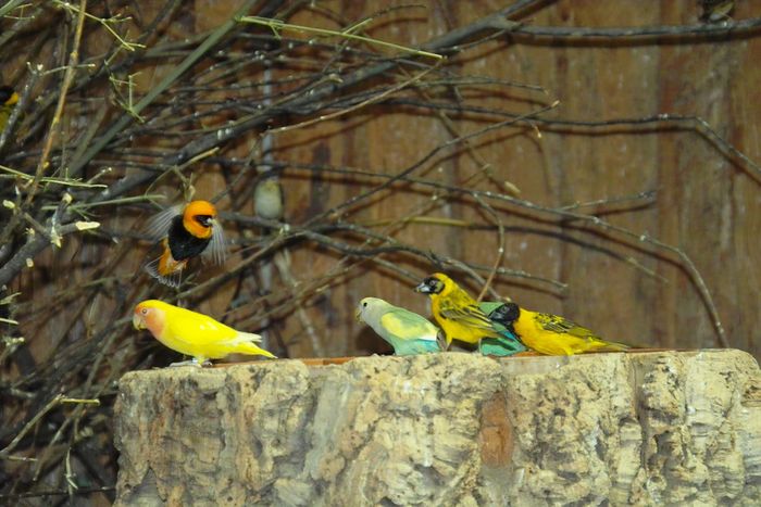 Nutzerbilder Münchener Tierpark Hellabrunn