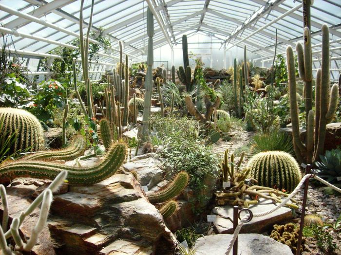 Nutzerbilder Café im Botanischen Garten