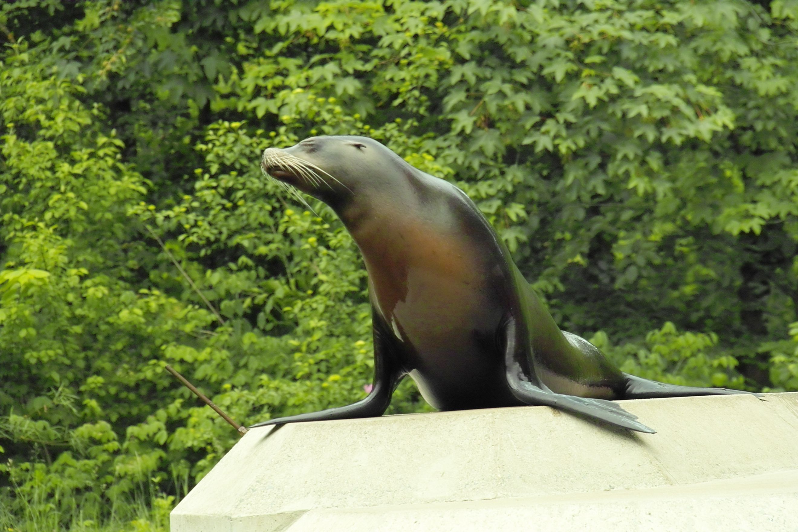 Bild 92 Münchener Tierpark Hellabrunn in München