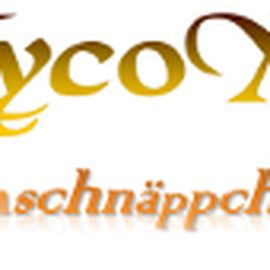 XycoX - Zaunschnäppchen.de Swen Machacek in Teltow