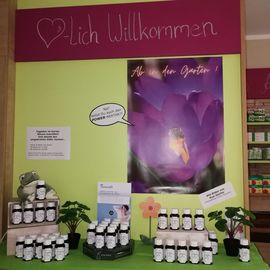 Innenraum der froschAPOTHEKE in der Münchener STrasse Aktionstisch zum Thema
Mehr Power - mehr Relaxen mit Vitaminen, Mikronährstoffen und &lt;pflanzenextrakten aus Rhodilola und Ashwaganda