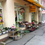 Chemnitzer Blumenring Einzelhandelsgesellschaft mbH in Chemnitz in Sachsen