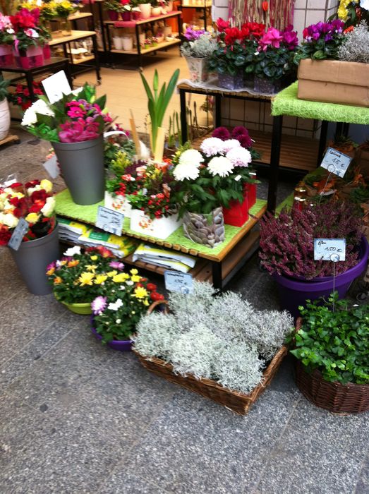 Chemnitzer Blumenring Einzel- handelsgesellschaft mbH