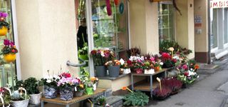 Bild zu Chemnitzer Blumenring Einzelhandelsgesellschaft mbH