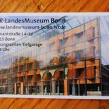 LVR-LandesMuseum Bonn in Bonn