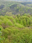 Nutzerbilder Drachenfels Inh. Hermann J. Nolden Restaurant