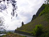 Nutzerbilder Drachenfels Inh. Hermann J. Nolden Restaurant