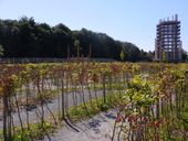 Nutzerbilder Jugendherberge Waldbröl Panarbora