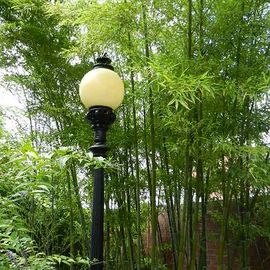 beleuchteter Bambus