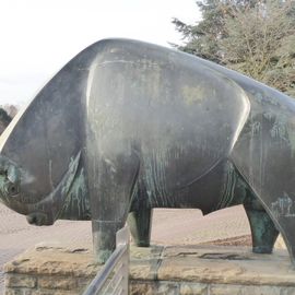 Bison, bullig.
Was?? Na gut, dann eben ein Wisent, auch bullig