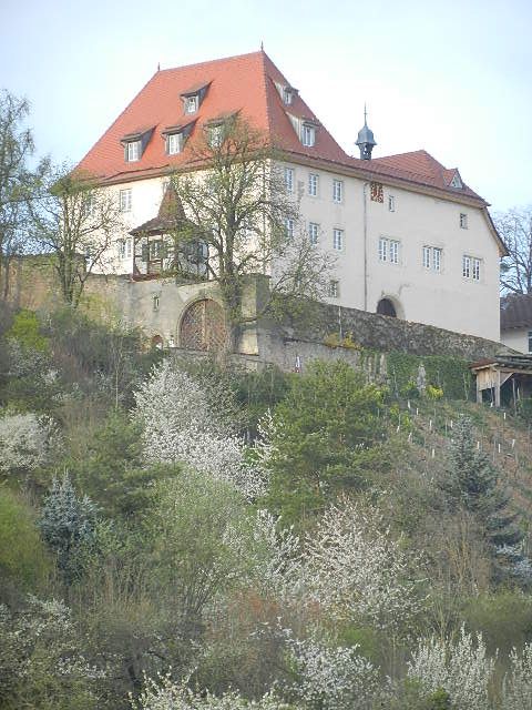 Schloss Roseck