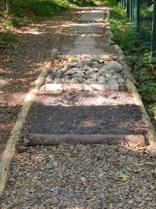 Nutzerbilder Jugendherberge Waldbröl Panarbora