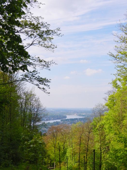 Nutzerbilder Drachenfels Inh. Hermann J. Nolden Restaurant