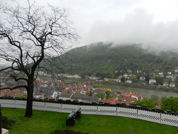 Nutzerbilder Schloss Heidelberg