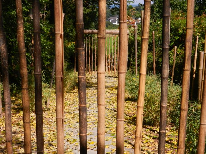 Nutzerbilder Jugendherberge Waldbröl Panarbora