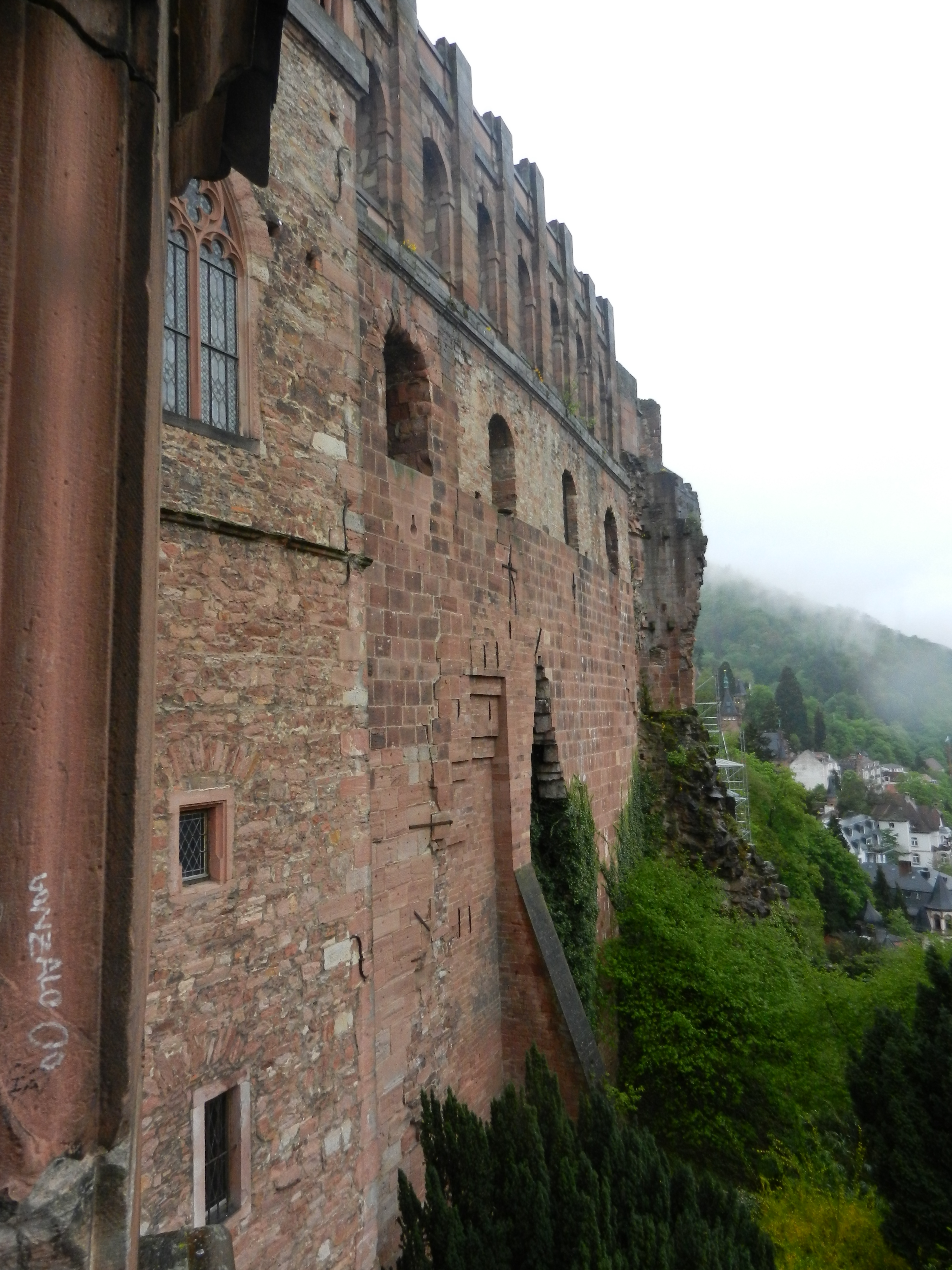 Bild 81 Schloss Heidelberg in Heidelberg