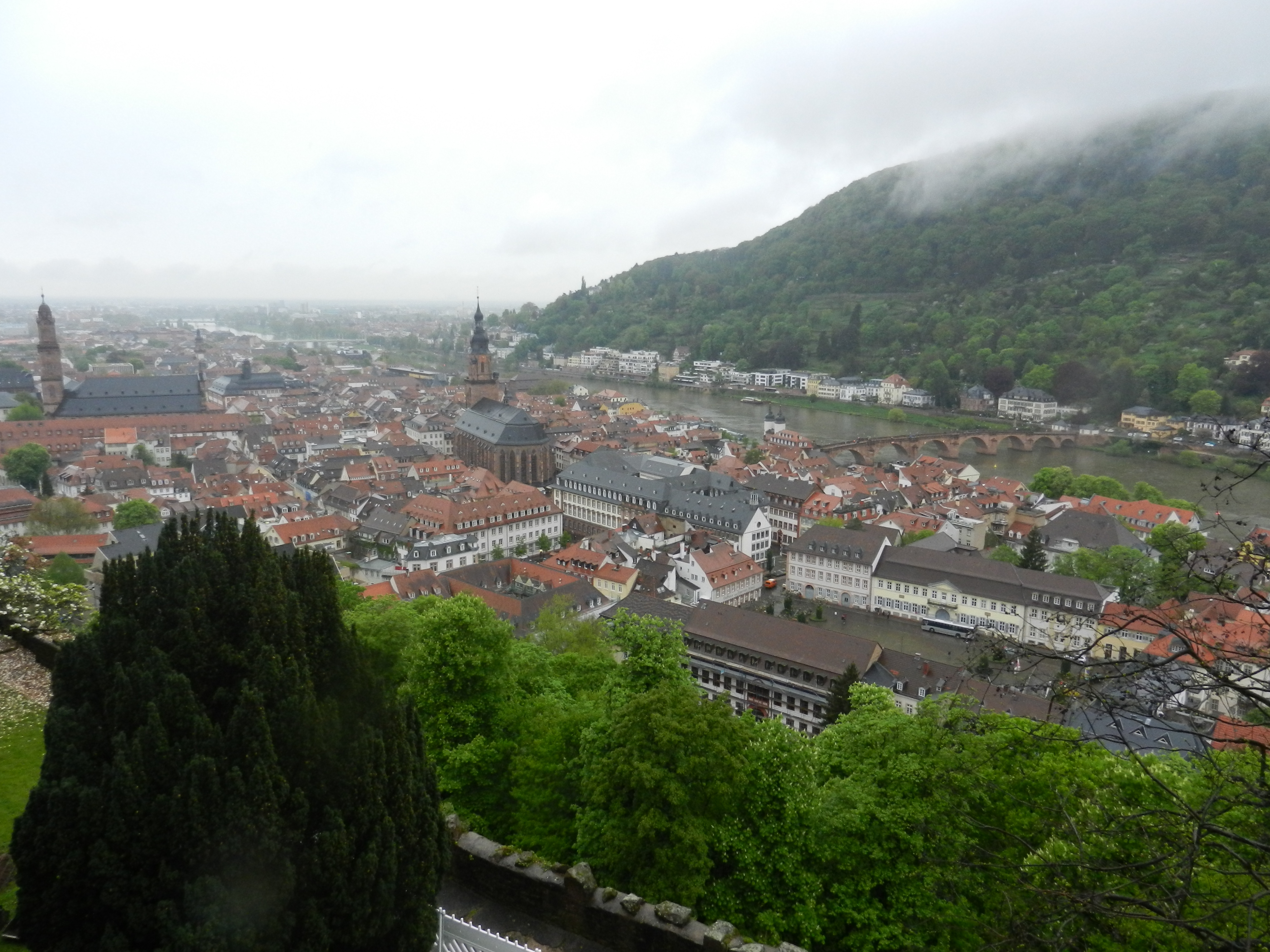 Bild 80 Schloss Heidelberg in Heidelberg