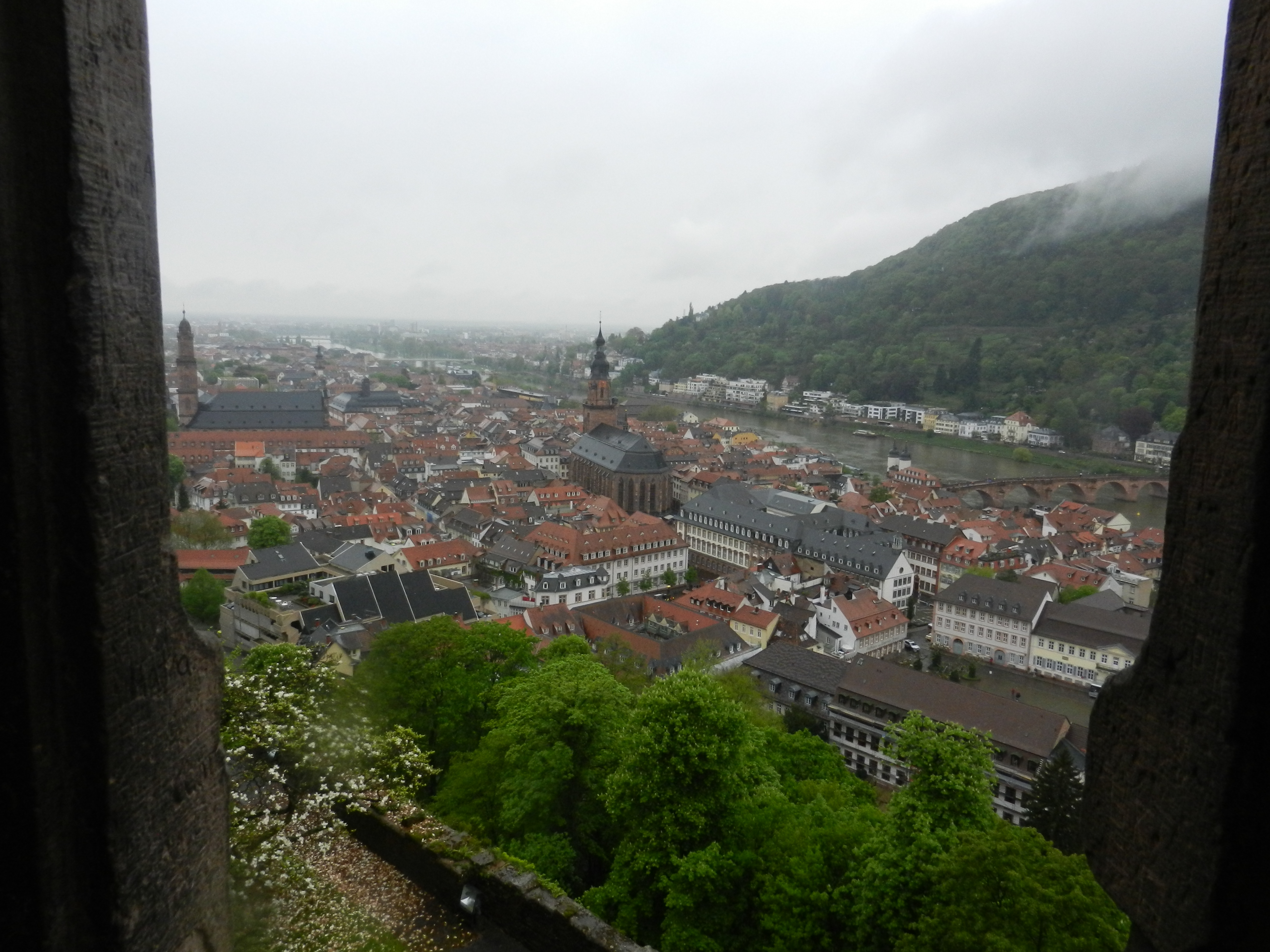 Bild 90 Schloss Heidelberg in Heidelberg