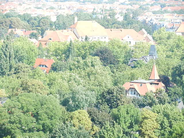 viel Gr&uuml;n in Leibzsch