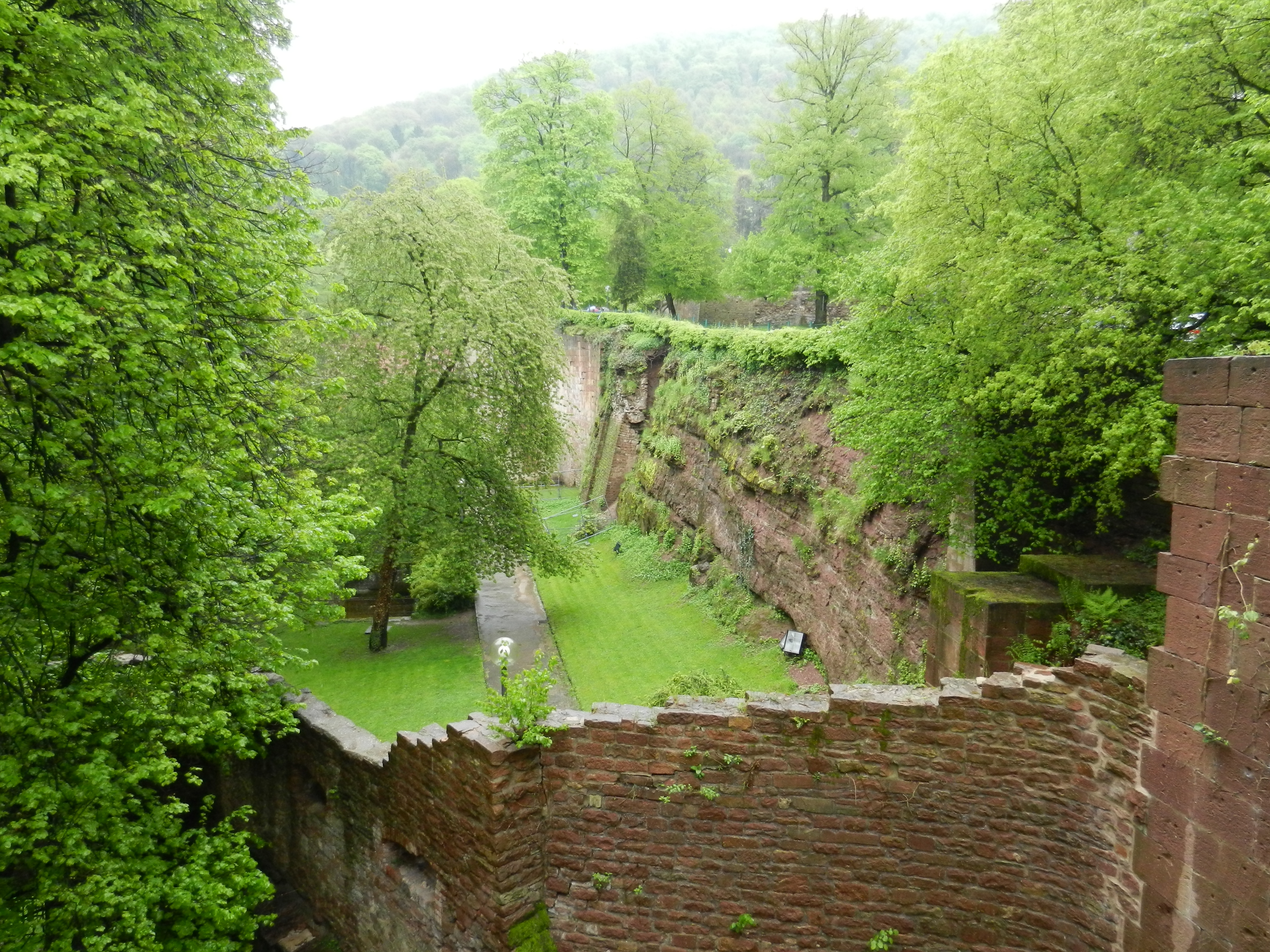 Bild 73 Schloss Heidelberg in Heidelberg