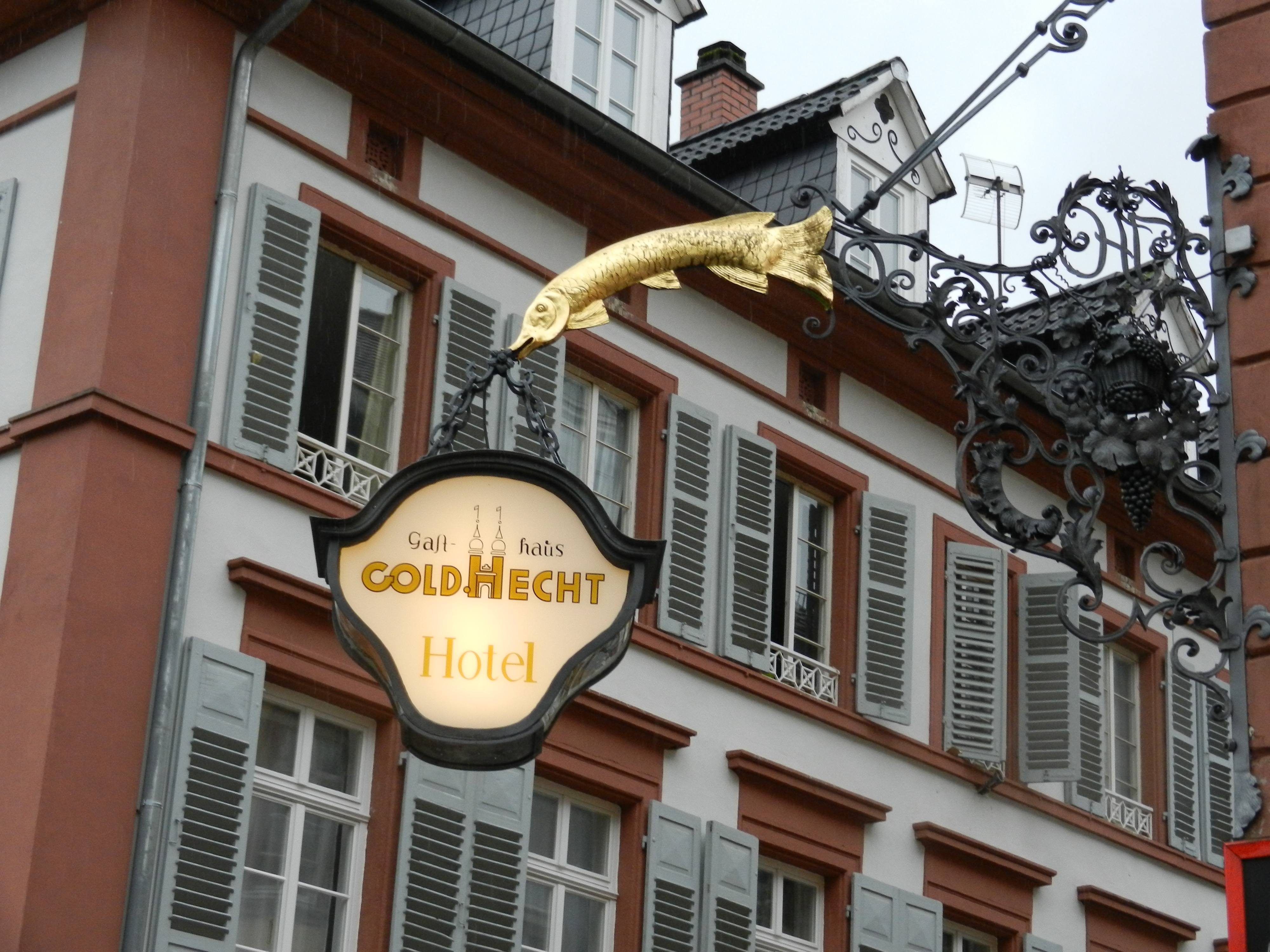 Bild 6 Goldener Hecht in Heidelberg