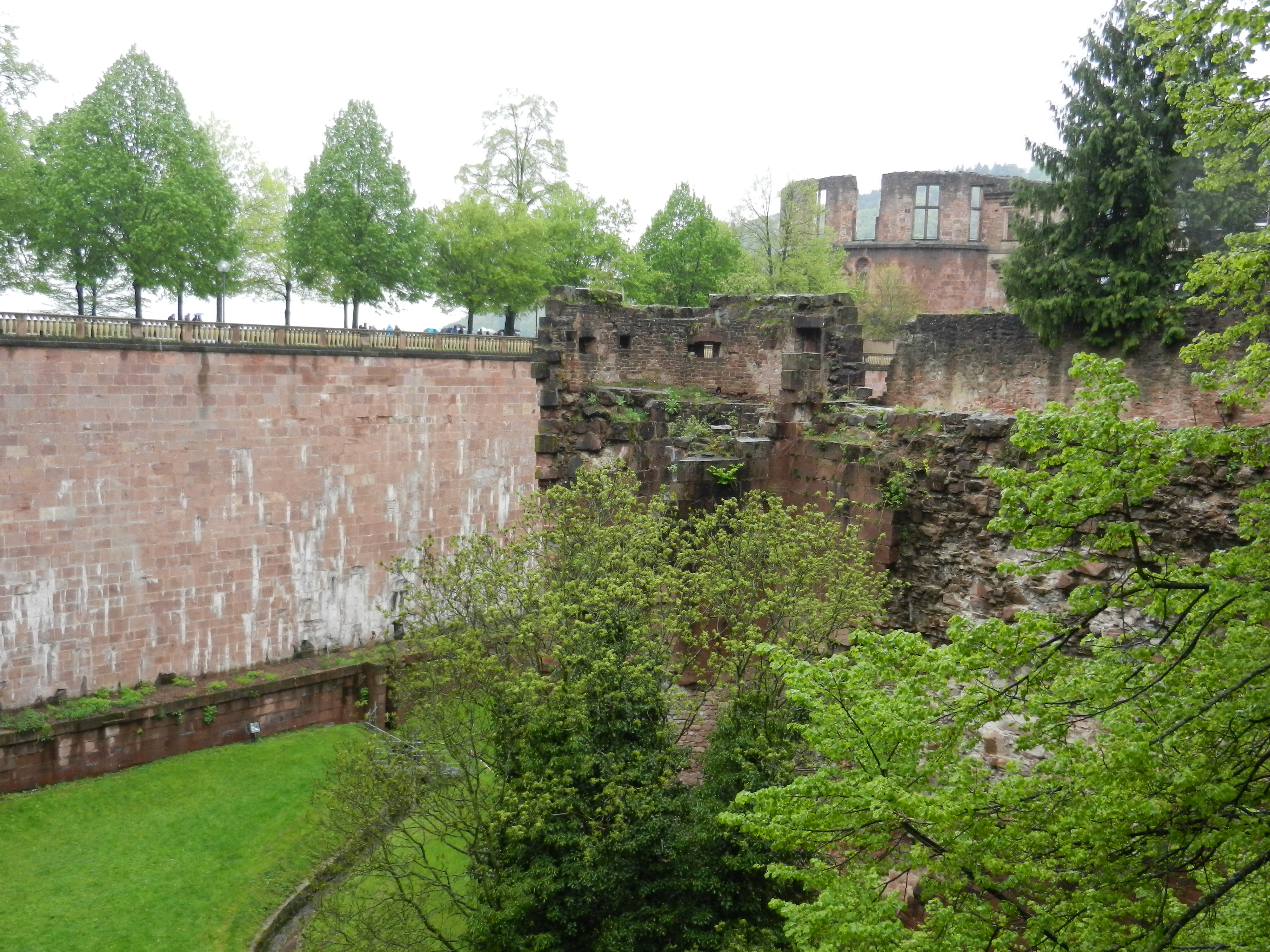 Bild 75 Schloss Heidelberg in Heidelberg