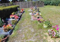 Bild zu Gemeindefriedhof Hönow